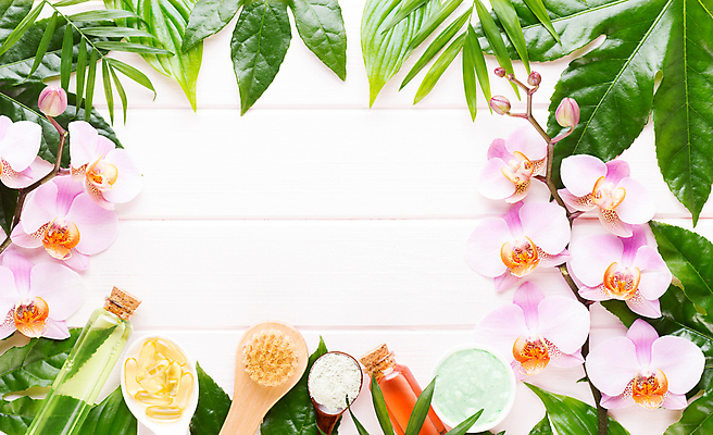 포토 JPG 해외이미지 식물 꽃 바다 꽃다발 백그라운드 컨셉 잎 자연 건강 사람없음 목재 뷰티 노란색 우주 스파 봄 화장품 신선 마사지 난초 플랫 정상 에코 유기농 데이지 아로마 위치 아로마테라피 테라피 내추럴 돌봄 바이오 파스텔톤 해외포토 나무 웰빙 계절 컬러 재료 모션 환경 생태계 파일형식 이미지허브