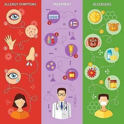 EPS 해외이미지 손 꽃 일러스트 치즈 사람모양 신체부위 치료 알약 고양이 우유 의사 개 코 알레르기 벌꿀 증상 해외일러스트 모양 식물 포유류 의학 유제품 사람 반려동물 약 의료진 질병 꿀 파일형식 벡터 이미지허브
