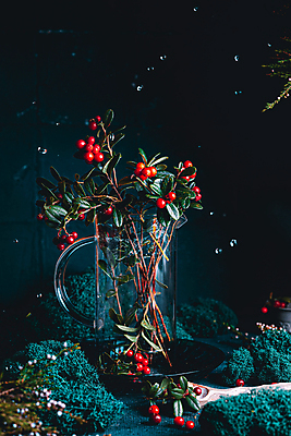 포토 JPG 해외이미지 열매 음료 겨울 과일 유리 따뜻함 건강 요리 사람없음 빨간색 식당 저녁식사 주스 카페 빵집 칵테일 뜨거움 달콤 맛 아침식사 숲 레모네이드 민트 메뉴 유기농 레시피 채식주의자 크랜베리 맛있는 해외포토 식물 웰빙 계절 컬러 컨셉 재질 주류 상점 식사 허브 채식 에이드 파일형식 이미지허브