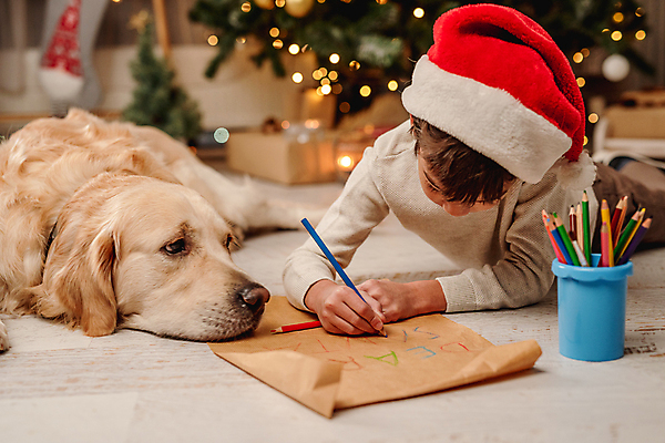 포토 JPG 해외이미지 서양인 남자 어린이 엎드리기 겨울 산타모자 색연필 실내 따뜻함 한명 소년 상반신 앞모습 아웃포커스 잡기 골든리트리버 강아지 소년한명만 해외포토 외국인 모자_잡화 1 계절 뷰포인트 크리스마스 모션 학용품 촬영기법 사람 내부 반려동물 개 리트리버 남자한명만 소년만 파일형식 이미지허브