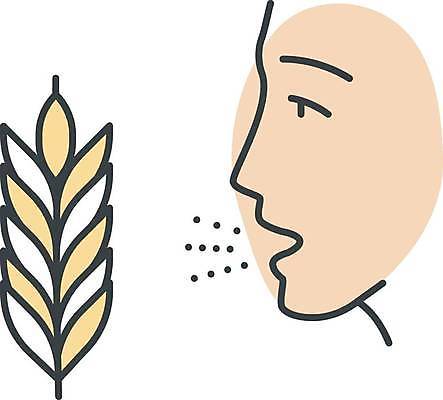 EPS 해외이미지 일러스트 사람없음 밀 얼굴모양 알레르기 해외일러스트 모양 얼굴 곡류 질병 파일형식 벡터 이미지허브