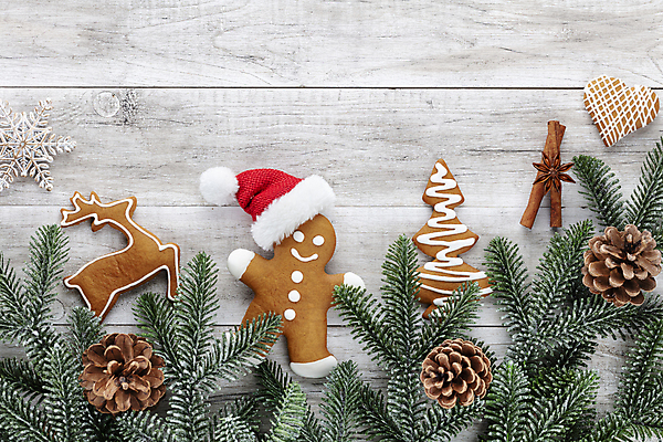 포토 JPG 해외이미지 잎 크리스마스 산타모자 크리스마스용품 실내 사람없음 하이앵글 솔방울 사슴모양 진저맨 크리스마스트리모양쿠키 진저쿠키 나무배경 해외포토 모양 식물 모자_잡화 기념일 뷰포인트 백그라운드 내부 쿠키 용품 파일형식 이미지허브