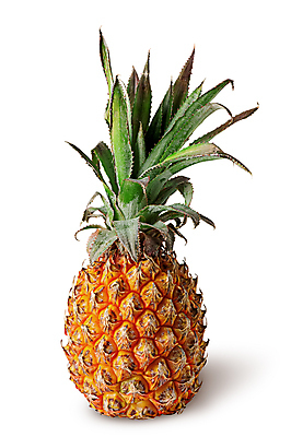 포토 JPG 해외이미지 1 라이프스타일 음식 조각 백그라운드 잎 다이어트 과일 디저트 귤 건강 사람없음 초록색 노란색 주스 흰색 신선 소나무 닫기 달콤 맛 가득함 묘사 파인애플 오브젝트 싱글 유기농 날것 비타민 내추럴 고립 숙성 이국적 채식주의자 맛있는 해외포토 나무 식물 웰빙 음료 컬러 컨셉 모션 생활 열대과일 채식 영양소 파일형식 이미지허브