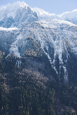 포토 JPG 해외이미지 주간 나무 겨울 사람없음 야외 설원 눈 알프스 겨울풍경 눈덮임 해외포토 자연요소 식물 계절 유럽 컨셉 날씨 눈_날씨 풍경 파일형식 이미지허브