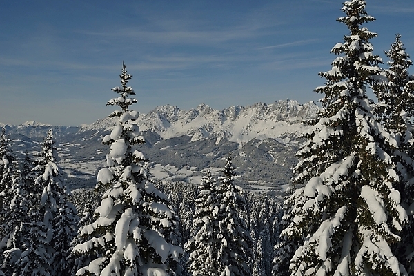 포토 JPG 해외이미지 주간 나무 겨울 하늘 사람없음 야외 눈 겨울풍경 눈덮임 해외포토 자연요소 식물 계절 컨셉 날씨 풍경 파일형식 이미지허브