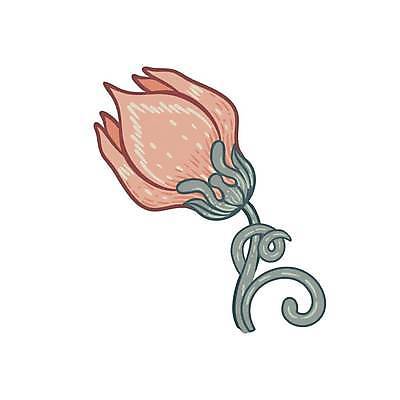 EPS 해외이미지 디자인 꽃 일러스트 사람없음 클래식 복고 해외일러스트 식물 컨셉 파일형식 벡터 이미지허브