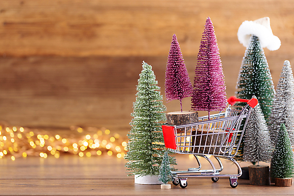 포토 JPG 해외이미지 크리스마스 실내 사람없음 아웃포커스 크리스마스트리 쇼핑카 미니어처 보케 미니트리 나무배경 해외포토 기념일 백그라운드 촬영기법 내부 쇼핑 모형 카트 파일형식 이미지허브