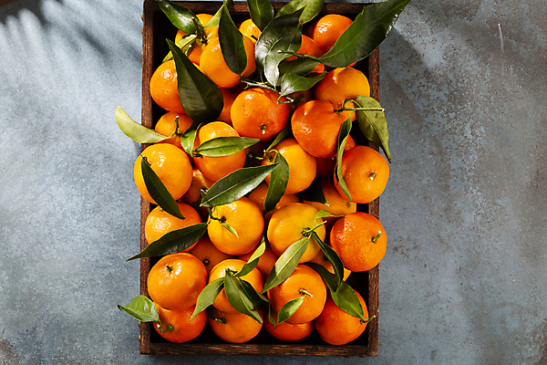 포토 JPG 해외이미지 회색배경 귤 실내 사람없음 하이앵글 담기 해외포토 뷰포인트 백그라운드 과일 모션 내부 회색 파일형식 이미지허브