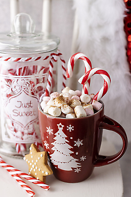 포토 JPG 해외이미지 크리스마스 크리스마스용품 유리병 실내 사람없음 쿠키 코코아 마시멜로우 지팡이사탕 해외포토 기념일 음료 병_용기 디저트 사탕 내부 용품 파일형식 이미지허브