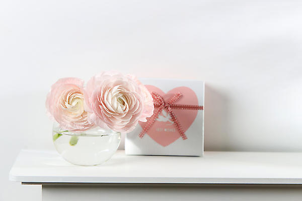 포토 JPG 해외이미지 식물 꽃잎 꽃 분홍색 꽃다발 결혼 벽지 탁자 발렌타인데이 선물 사랑 사람없음 장식 빛 상자 꽃병 봄 낭만 수확 흰색 하트 축하 신선 신용카드 생일 개화 자르기 다발 배열 창백 원예사 파스텔톤 해외포토 모양 직업 계절 기념일 감정 컬러 가구 컨셉 농업 모션 데이이벤트 이벤트 금융 파일형식 이미지허브