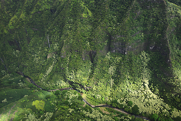 포토 JPG 해외이미지 나무 공원 바다 섬 여행 백그라운드 자연 산 안테나 풍경 사람없음 야외 초록색 물 여름 계곡 폭포 헬리콥터 숲 하와이 드론 쥬라기 해외포토 자연요소 식물 계절 공공시설 컬러 통신 비행기 미국 생태계 파일형식 이미지허브