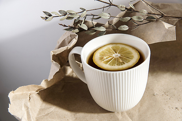 포토 JPG 해외이미지 종이 탁자 회색배경 사람없음 찻잔 레몬 유칼립투스 해외포토 식물 가구 백그라운드 과일 잔 회색 파일형식 이미지허브