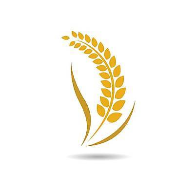 EPS 해외이미지 식물 디자인 배너 음식 빵 백그라운드 농업 다이어트 일러스트 자연 밥 건조 건강 옥수수 씨앗 농작물 농장 노란색 라벨 수확 성장 신선 시장 황금 상품 낟알 시리얼 밀 먹기 심볼 사인 유기농 보리 밀가루 스파이크 내추럴 고립 밭일 엘리먼트 귀리 해외일러스트 웰빙 산업 컬러 모션 곡류 프레임 가루 생태계 파일형식 벡터 이미지허브