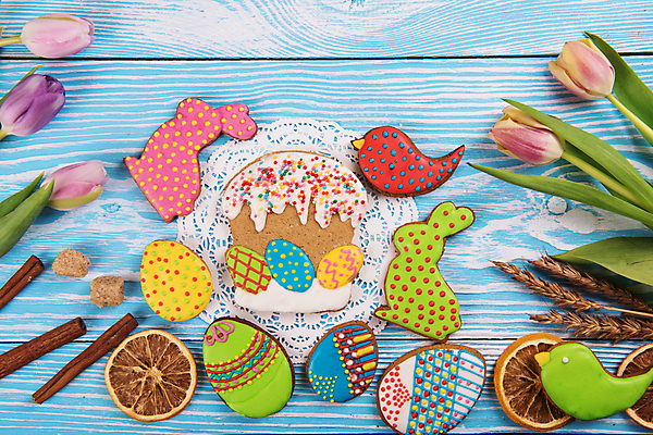 포토 JPG 해외이미지 꽃 잎 사람없음 장식 화려 부활절계란 파란배경 건과일 새모양 시나몬 토끼모양 진저쿠키 스프링클 나무배경 해외포토 모양 식물 백그라운드 컨셉 과일 부활절 건조 파란색 쿠키 계란 파일형식 이미지허브