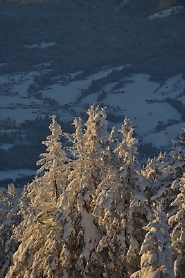 포토 JPG 해외이미지 주간 나무 겨울 사람없음 야외 눈 겨울풍경 눈덮임 해외포토 자연요소 식물 계절 컨셉 날씨 풍경 파일형식 이미지허브