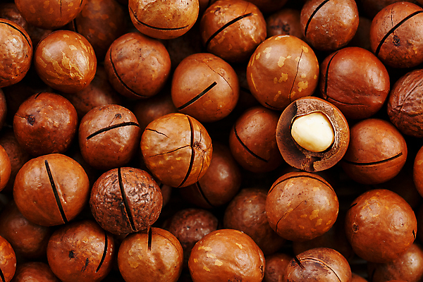 포토 JPG 해외이미지 단면 실내 사람없음 갈색 껍질 가득함 많음 마카다미아 해외포토 컬러 컨셉 내부 견과류 파일형식 이미지허브