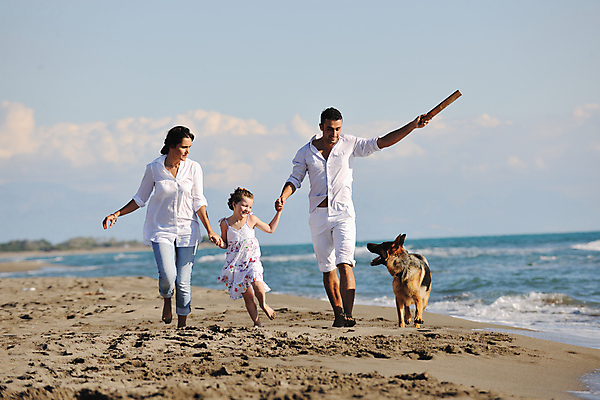 포토 JPG 해외이미지 주간 전신 백인 라이프스타일 남자 딸 행복 반려견 어린이 바다 여행 가족 하늘 엄마 휴가 함께함 사랑 웃음 들기 사람 성인 야외 앞모습 세명 반려동물 달리기 손잡기 기쁨 막대기 아빠 개 해외포토 자연요소 서양인 동물 감정 뷰포인트 컨셉 포유류 관계 모션 표정 생활 파일형식 이미지허브