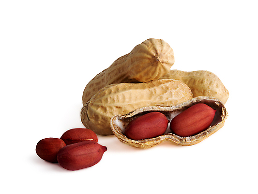 포토 JPG 해외이미지 건조 사람없음 갈색 껍질 알맹이 땅콩 해외포토 컬러 견과류 파일형식 이미지허브