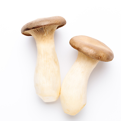 포토 JPG 해외이미지 식물 음식 백그라운드 채소 재료 건강 사람없음 갈색 식사 버섯 굴 흰색 신선 달콤 맛 수프 왕 먹기 고립 곰팡이 식용 해외포토 컬러 컨셉 모션 어패류 파일형식 이미지허브