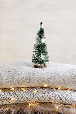 포토 JPG 해외이미지 사람없음 크리스마스트리 미니어처 스웨터 니트 미니트리 해외포토 상의 크리스마스 모형 파일형식 이미지허브