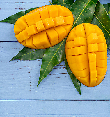 포토 JPG 해외이미지 스튜디오촬영 하늘색 나뭇잎 근접촬영 사람없음 노란색 망고 해외포토 뷰포인트 컬러 잎 실내 파란색 열대과일 파일형식 이미지허브