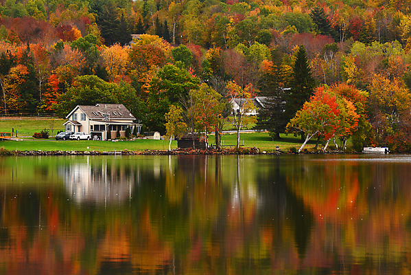 포토 JPG 해외이미지 주간 나무 공원 호수 풍경 사람없음 야외 반사 가을 연못 숲 해외포토 자연요소 식물 계절 공공시설 파일형식 이미지허브