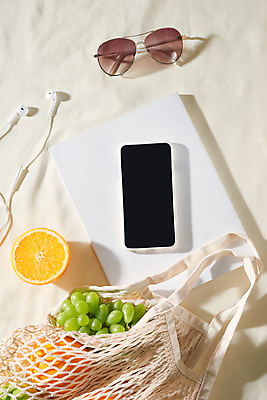 포토 JPG 해외이미지 이어폰 오렌지 단면 실내 사람없음 책 스마트폰 하이앵글 선글라스 청포도 네트백 해외포토 안경 뷰포인트 음향기기 가방 과일 포도 내부 핸드폰 스마트기기 파일형식 이미지허브