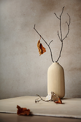 포토 JPG 해외이미지 디자인 감정 지구 컨셉 잎 자연 추상 건조 흑백 건강 대화 미술 사람없음 장식 뷰티 갈색 유행 환경 꽃병 가을 나뭇가지 죽음 고독 질병 신비 배열 에코 복고 기하학 내추럴 고딕 구성 우울증 정물화 파스텔톤 미니멀리스트 해외포토 나무 식물 계절 꽃 컬러 무늬 의학 문화예술 촬영기법 말하기 그림 생태계 파일형식 이미지허브