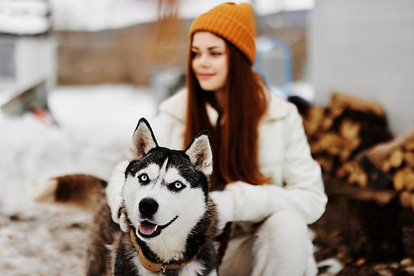 포토 JPG 해외이미지 주간 한마리 여자 반려견 겨울 함께함 한명 상반신 성인 야외 앞모습 아웃포커스 반려동물 산책 눈 강아지 시베리안허스키 즐거움 겨울옷 성인여자한명만 눈덮임 해외포토 자연요소 동물 1 옷 계절 감정 뷰포인트 컨셉 날씨 휴식 촬영기법 사람 개 여자한명만 성인여자만 파일형식 이미지허브