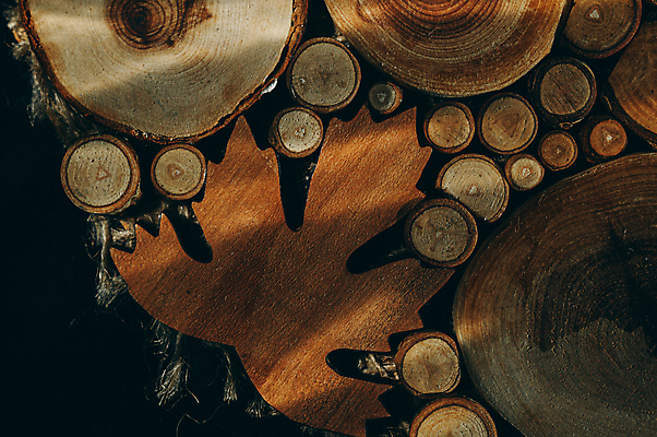 포토 JPG 해외이미지 모양 디자인 벽 조각 백그라운드 단풍 패턴 부분 벽지 표면 추상 미술 사람없음 목재 장식 갈색 쌓기 시골 반지 원형 거친 횡단보도 자르기 묘사 오브젝트 에코 질감 통나무 구성 생태학 수목 노화 해외포토 도형 나무 교육 컬러 컨셉 잎 무늬 재료 장신구 모션 문화예술 환경 보행로 파일형식 이미지허브