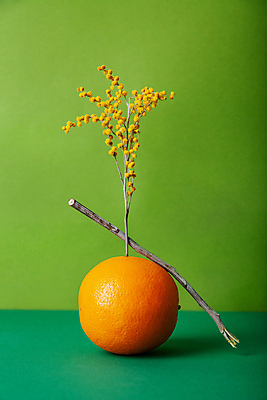 포토 JPG 해외이미지 추상 귤 실내 사람없음 귤나무 나무막대기 초록배경 해외포토 나무 백그라운드 무늬 과일 내부 초록색 막대기 파일형식 이미지허브