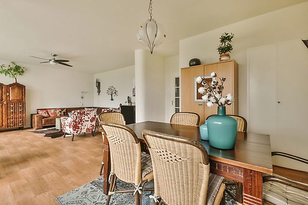 포토 JPG 해외이미지 화분 거실 의자 탁자 전등 실내 사람없음 인테리어 소파 카펫 심플 목화꽃 해외포토 디자인 꽃 가구 조명 내부 파일형식 이미지허브