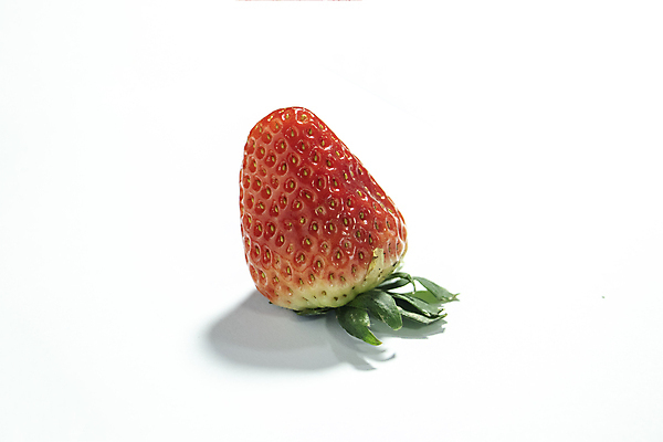 포토 JPG 해외이미지 음식 채소 과일 사람없음 망고 국산 해외포토 열대과일 파일형식 이미지허브