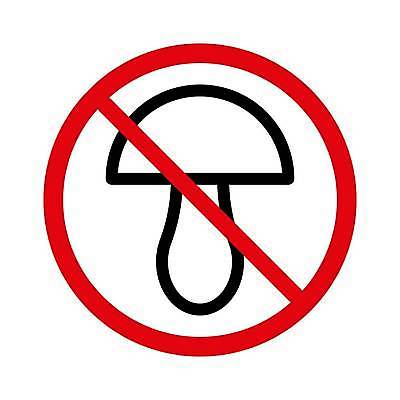 EPS 해외이미지 식물 디자인 선 음식 채소 일러스트 재료 자연 건강 그래픽 식사 웹 버섯 가을 맛 숲 심볼 오브젝트 사인 유기농 날것 윤곽 내추럴 고립 곰팡이 식용 채식주의자 해외일러스트 웰빙 계절 컨셉 인터넷 생태계 채식 파일형식 벡터 이미지허브