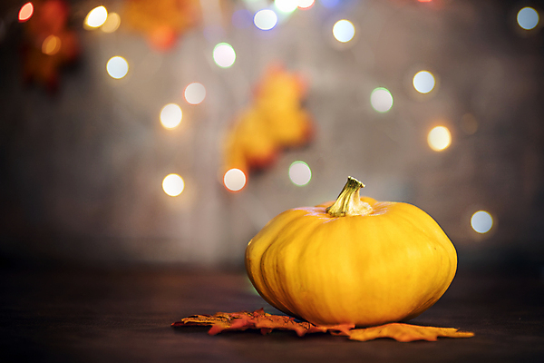 포토 JPG 해외이미지 나무 디자인 배너 계절 음식 백그라운드 단풍 잎 겨울 꽃무늬 채소 오렌지 과일 가족 자연 탁자 호박 휴가 전등 주택 프레임 따뜻함 미술 사람없음 목재 장식 갈색 노란색 파티 할로윈 수확 시골 9월 11월 스웨터 질감 복고 보케 추수감사절 10월 내추럴 국경 해외포토 식물 꽃 기독교 컬러 가구 상의 무늬 농업 재료 관계 문화예술 조명 이벤트 건물 날짜 생태계 파일형식 이미지허브