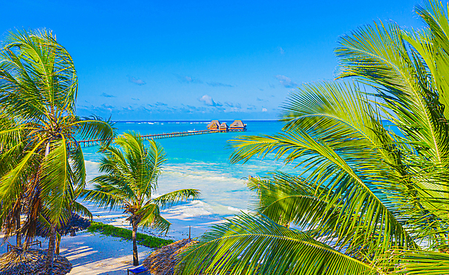 포토 JPG 해외이미지 주간 해변 사람없음 야외 야자수 해외포토 자연요소 나무 바다 파일형식 이미지허브