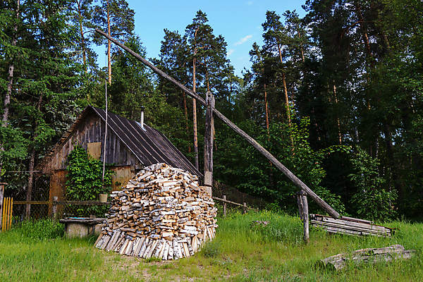 포토 JPG 해외이미지 주간 나무 주택 사람없음 야외 시골 숲속 장작 해외포토 자연요소 식물 건물 숲 파일형식 이미지허브