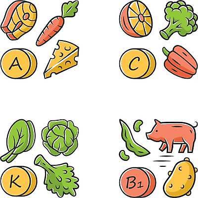 EPS 해외이미지 오렌지 일러스트 피망 치즈 콩 감자 파프리카 요리 사람없음 당근 돼지 브로콜리 양배추 나물 연어 엘리먼트 해외일러스트 채소 과일 포유류 유제품 곡류 뿌리채소 어류 파일형식 벡터 이미지허브