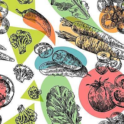 EPS 해외이미지 손 음식 백그라운드 다이어트 토마토 채소 일러스트 자연 가지 콩 건강 옥수수 요리 그래픽 장식 초록색 농장 주방 식당 정원 샐러드 수확 성장 흰색 시장 낙서 브로콜리 스케치 수집 먹기 심볼 그림 에코 유기농 내추럴 채식주의자 비건 맛있는 해외일러스트 웰빙 컬러 농업 모션 곡류 미술 신체부위 환경 상점 생태계 채식 파일형식 벡터 이미지허브