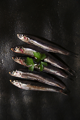 포토 JPG 해외이미지 동물 음식 바다 낚시 건강 어류 사람없음 이탈리아 신선 그룹 시장 은색 지중해 해산물 날것 내추럴 해외포토 유럽 컬러 레저 수중동물 파일형식 이미지허브