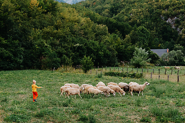 포토 JPG 해외이미지 동물 공원 행복 유럽 호수 얼굴 어린이 여행 태국 자연 산 노르웨이 한명 소년 초록색 반려동물 뷰티 농장 흰색 시골 양 양치기 보호 언덕 긍정 장면 내추럴 돌봄 밭일 그리너리 해외포토 직업 1 공공시설 남자 감정 나라 아시아 컬러 컨셉 농업 포유류 모션 사람 신체부위 생태계 파일형식 트랜드컬러 이미지허브