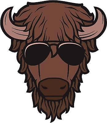 EPS 해외이미지 동물 응시 안경 밭 일러스트 포유류 초식동물 털 뿔 동물원 여름 선글라스 반사 갈색 머리 가축 목장 게임 황무지 소 원주민 카우보이 보호 군중 플라스틱 들소 황소 복고 시력 멸종 앨버타 찰과상 광학 많음 해외일러스트 시선 잡화 계절 컬러 컨셉 농업 재질 놀이 사람 신체부위 아프리카인 상처 파일형식 벡터 이미지허브