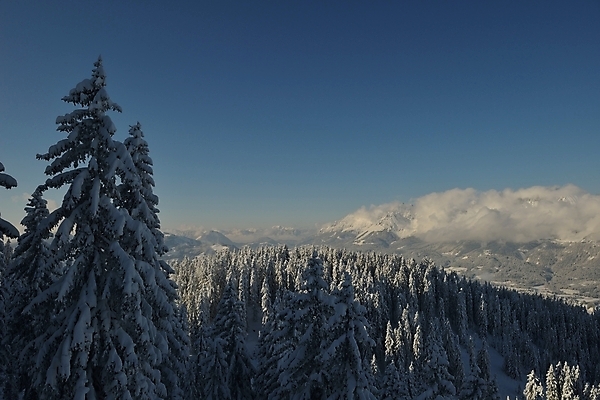 포토 JPG 해외이미지 주간 나무 구름 겨울 하늘 사람없음 야외 겨울풍경 해외포토 자연요소 식물 계절 풍경 파일형식 이미지허브