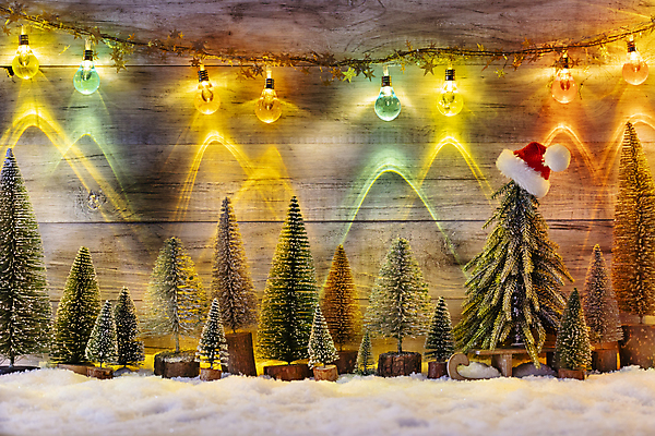 포토 JPG 해외이미지 나무 전통 디자인 계절 별 백그라운드 크리스마스 겨울 휴가 새로움 선물 사람없음 장식 빨간색 초록색 빛 상자 장난감 축제 침묵 시골 축하 인사 신용카드 연도 슛 해외포토 자연요소 식물 기념일 컬러 컨셉 금융 소리 예절 파일형식 이미지허브