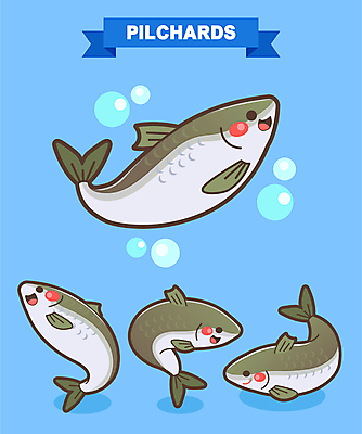 여러마리 일러스트 웃음 사람없음 파란색 축제 물방울 특산물 어류캐릭터 특산물캐릭터 지역축제 대한민국축제 밴댕이 밴댕이축제 일러캐릭터 AI파일 캐릭터 컬러 동물캐릭터 다수 표정 어류 파일형식 벡터