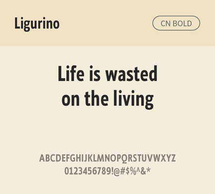 알파벳 영어 폰트 사람없음 OTF 볼드체 낱개폰트 설치폰트 디자인서체 영문폰트 Typodermic_서체 산세리프체 ligurino_서체 ligurinocd_서체 문자 파일형식