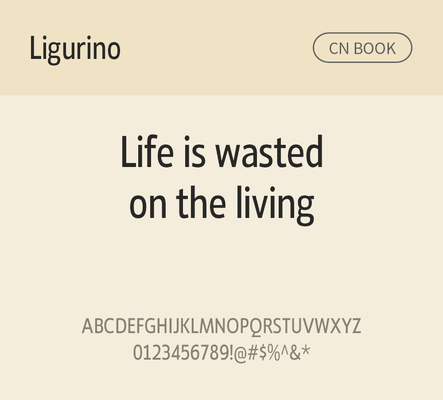 알파벳 영어 폰트 사람없음 OTF 볼드체 낱개폰트 설치폰트 디자인서체 영문폰트 Typodermic_서체 산세리프체 ligurino_서체 ligurinocd_서체 문자 파일형식