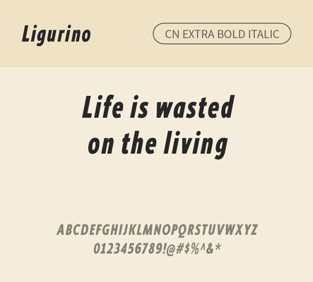 알파벳 영어 폰트 사람없음 OTF 낱개폰트 설치폰트 디자인서체 영문폰트 엑스트라볼드체 Typodermic_서체 산세리프체 이탤릭체 ligurino_서체 ligurinocd_서체 문자 파일형식