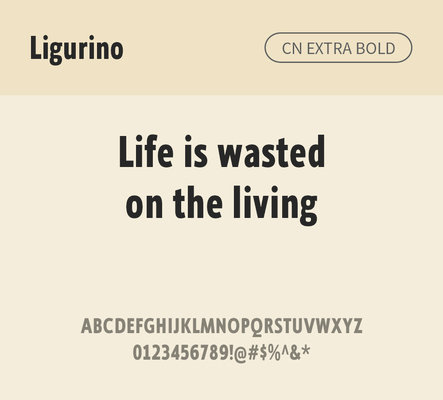 알파벳 영어 폰트 사람없음 OTF 낱개폰트 설치폰트 디자인서체 영문폰트 엑스트라볼드체 Typodermic_서체 산세리프체 ligurino_서체 ligurinocd_서체 문자 파일형식