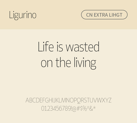 알파벳 영어 폰트 사람없음 OTF 라이트체 낱개폰트 설치폰트 디자인서체 영문폰트 Typodermic_서체 산세리프체 ligurino_서체 ligurinocd_서체 문자 파일형식